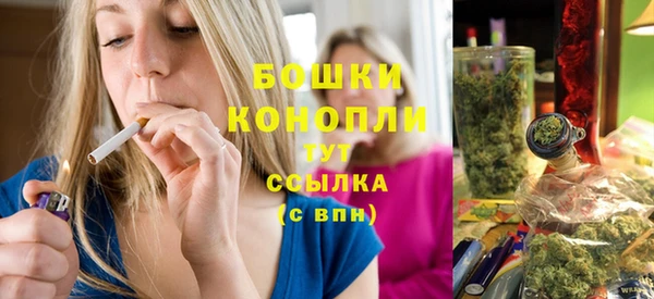 гидра Заволжск