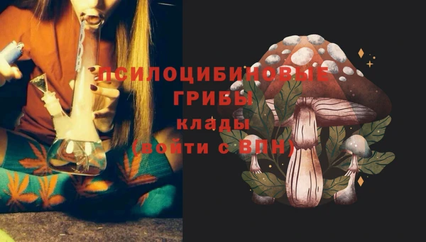 гидра Заволжск