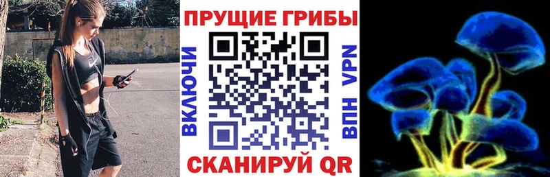 мега вход  Знаменск  Галлюциногенные грибы Magic Shrooms  где купить наркотик 