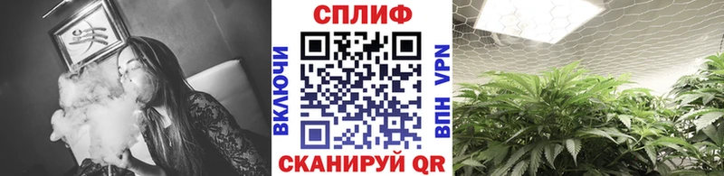 Бошки марихуана семена  Знаменск 